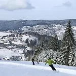 Récent - Billard - Babyfoot - Ping Pong - Mini Golf - Wifi - Jardin - Terrasse - 4 - 2 à 8 Personnes Gérardmer