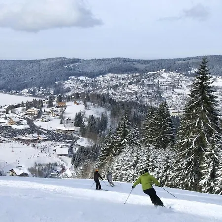 Recent - Billard - Babyfoot - Ping Pong - Mini Golf - Wifi - Jardin - Terrasse - 4 - 2 A 8 Personnes Chalet Gérardmer