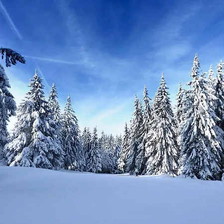 Recent - Billard - Babyfoot - Ping Pong - Mini Golf - Wifi - Jardin - Terrasse - 4 - 2 A 8 Personnes Gérardmer