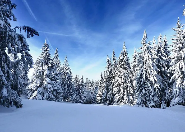 Recent - Billard - Babyfoot - Ping Pong - Mini Golf - Wifi - Jardin - Terrasse - 4 - 2 A 8 Personnes 제라르메르