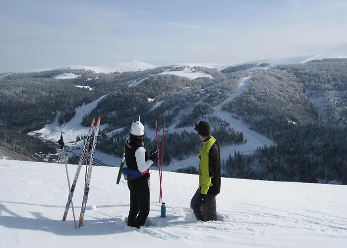 Recent - Billard - Babyfoot - Ping Pong - Mini Golf - Wifi - Jardin - Terrasse - 4 - 2 A 8 Personnes * 제라르메르